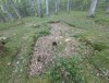 PXL_20250604_155519692.jpg