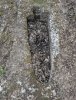 PXL_20250604_155713158.jpg