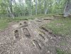 PXL_20250604_155405714.jpg