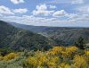 PXL_20250521_144920435.jpg