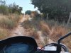 Offroad02.jpeg