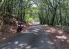 offroad4b.jpeg