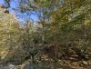 PXL_20251017_124430105.jpg