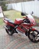 IMG_8065.jpeg