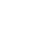 Anonymous_666