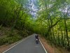 IMG-20250522-WA0004.jpg
