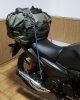 IMG_20260923_175616~2.jpg