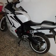 Pepillo 31